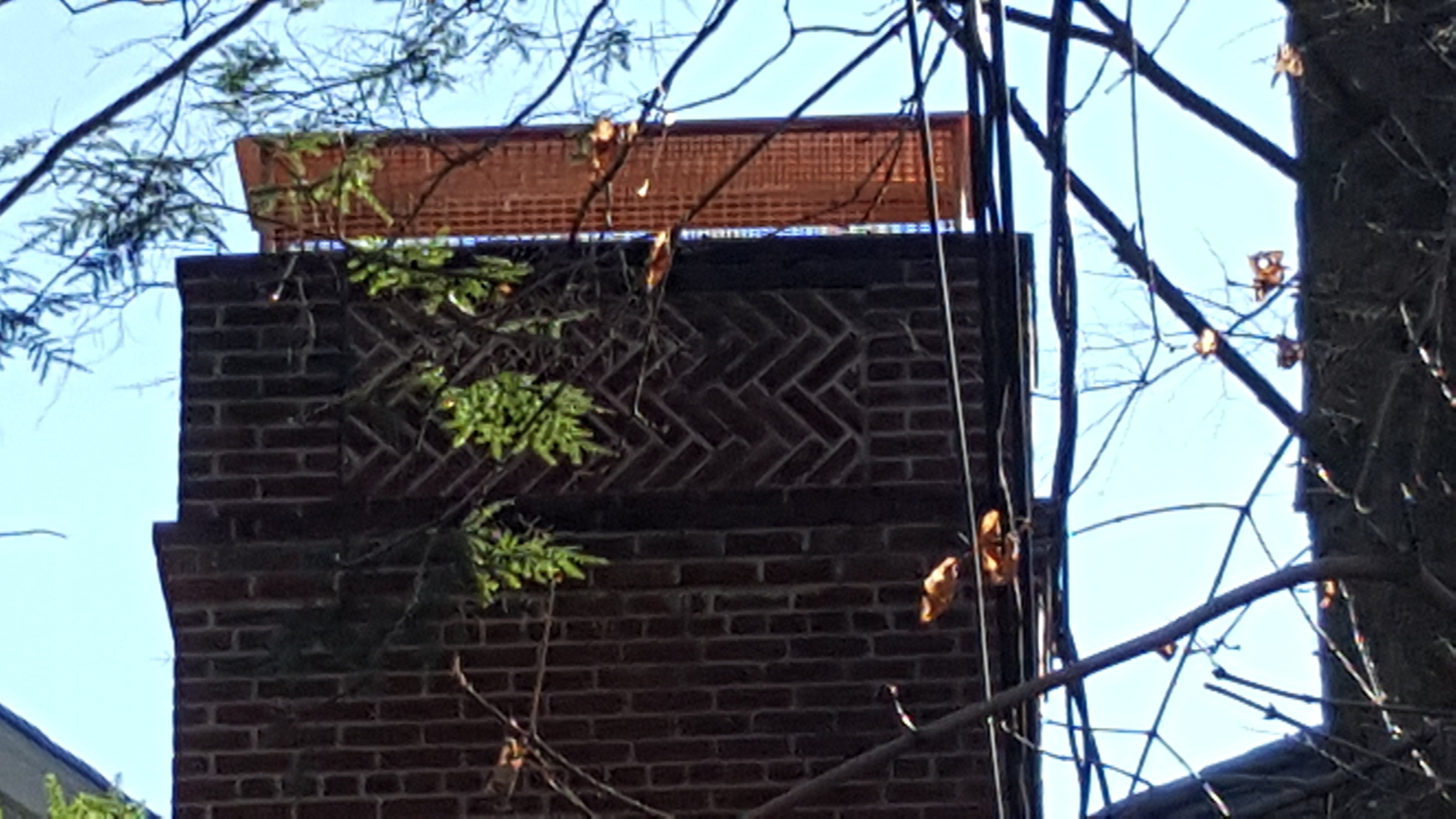 Animal-proof chimney cap protecting home in Babylon, New York